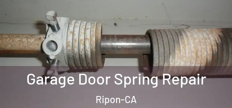  Garage Door Spring Repair Ripon-CA